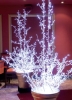 BRINDILLES  LUMINEUSES "Brindilles de lumière claires 1x2 m " - Décoration de fêtes - Noël
