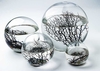 ECOSPHERE - ECOSYSTEME - NASA - RONDE 10 CM
