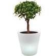 POTS - CACHES - JARDS LUMINEUX - MARKET SET - COLLECTIONS